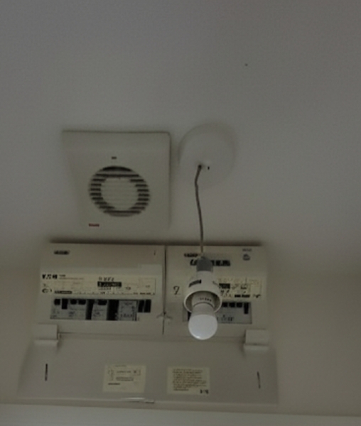Help me with ceiling lampshades please!
