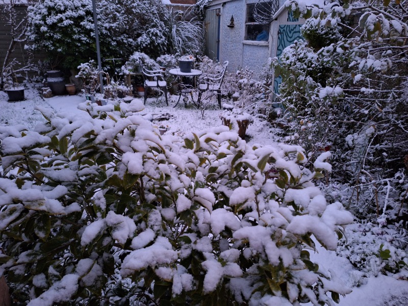 The Nigel Slater Christmas Chronicles readalong 2025 - Part 2