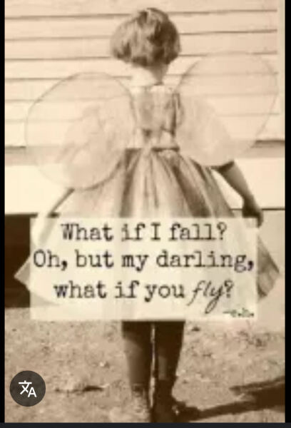 Thread 38 Starmer: Tax your Hamster