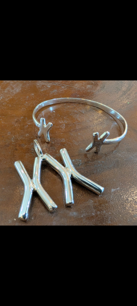 The Bluestocking: All You Need to Know About Risk Assessments, Jazz Hands, Battenberg and Sourdough (But Were Afraid to Ask) - and gerbils. Lots and lots of gerbils.