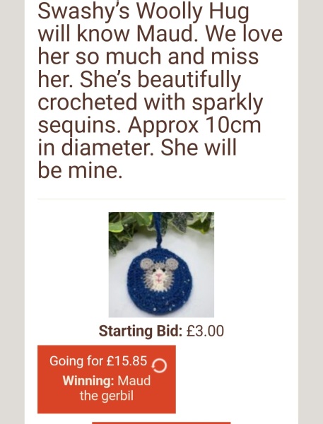 The Bluestocking: All You Need to Know About Risk Assessments, Jazz Hands, Battenberg and Sourdough (But Were Afraid to Ask) - and gerbils. Lots and lots of gerbils.