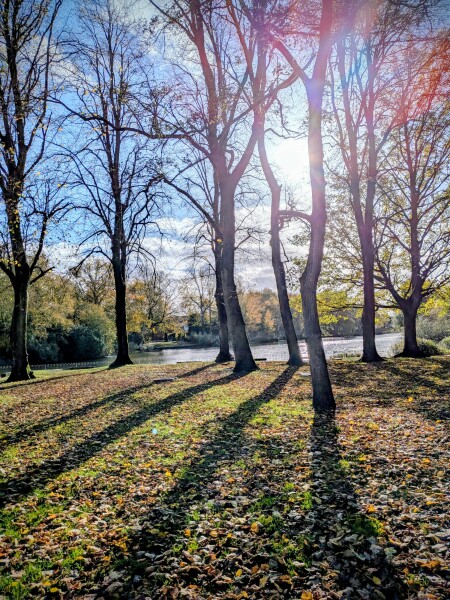 The Nigel Slater Christmas Chronicles Readalong 2025