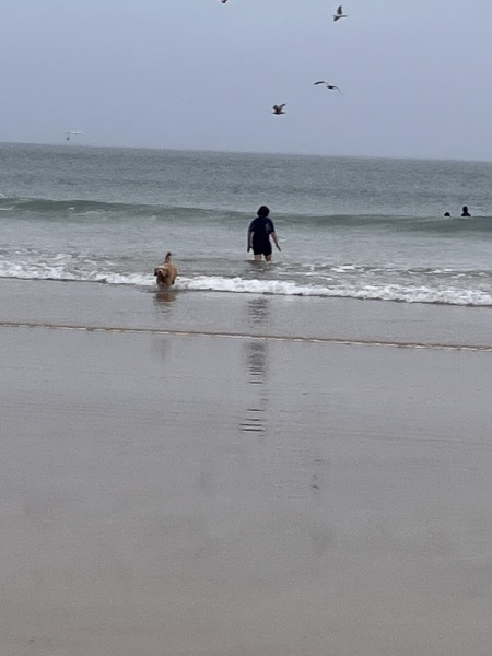 Daily Project round 8