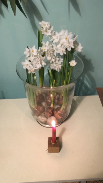 Poncetastic Christmas 2025