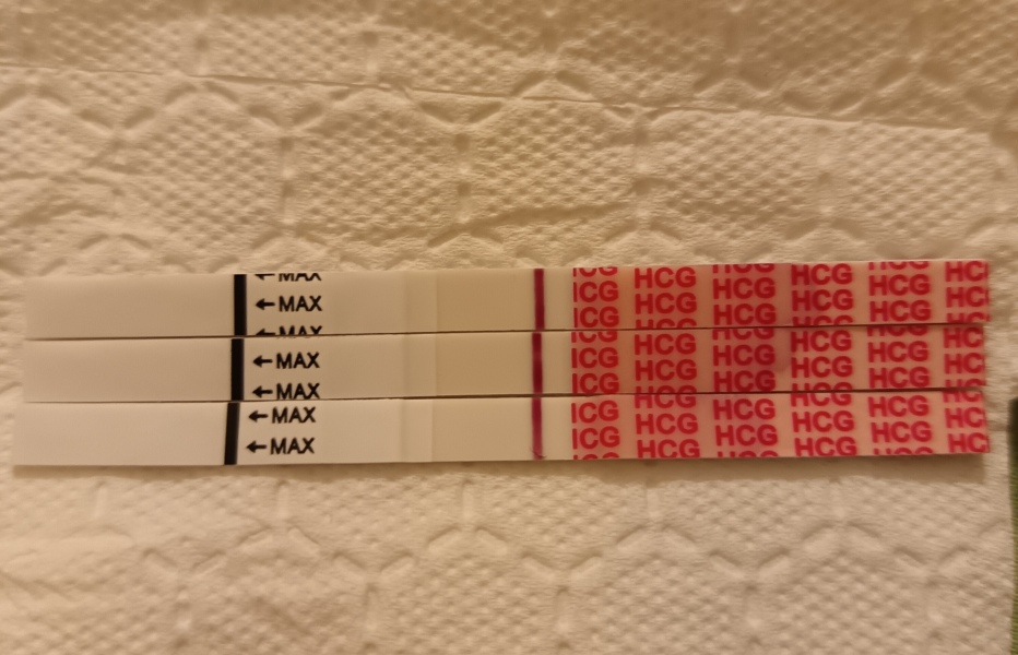 Just feeling so meh this morning