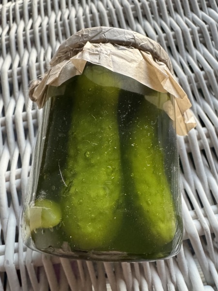 The Nigel Slater Christmas Chronicles Readalong 2025