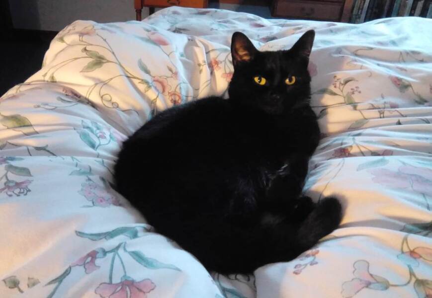 The Bluestocking - Raiders of the Lost Sparp