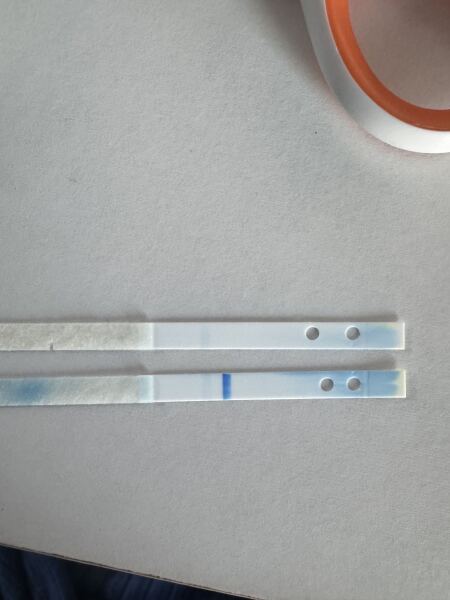 Broke open clear blue tests