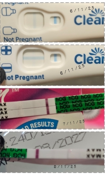 Due July 2026 🤍