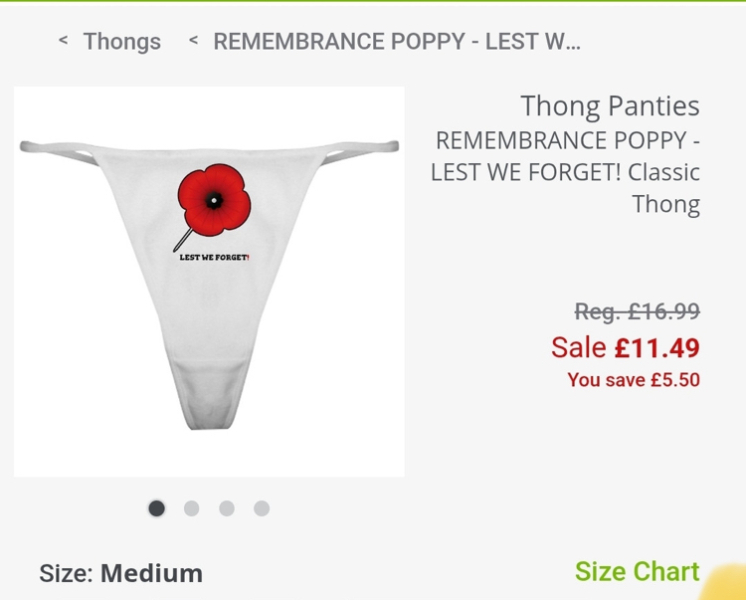 To remind you all of this BEFORE the Poppy becomes a divisive symbol