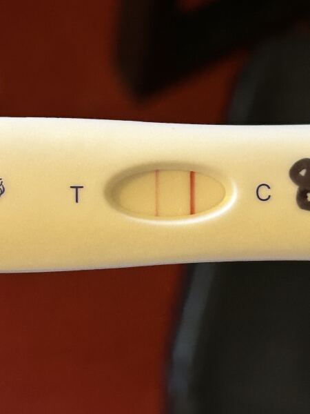 TTC TWW October 2025 🫶🏻