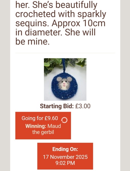 The Bluestocking: All You Need to Know About Risk Assessments, Jazz Hands, Battenberg and Sourdough (But Were Afraid to Ask) - and gerbils. Lots and lots of gerbils.