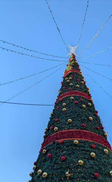 The Nigel Slater Christmas Chronicles readalong 2025 - Part 2