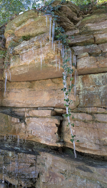 The Nigel Slater Christmas Chronicles Readalong 2025