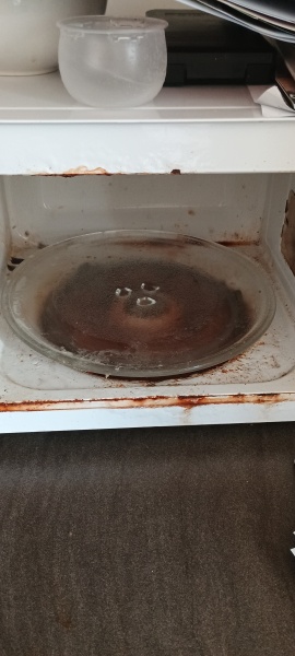 I'm a domestic cleaner AMA