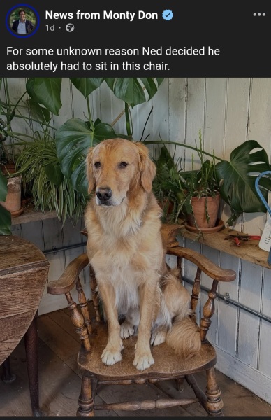 The Nigel Slater Christmas Chronicles Readalong 2025