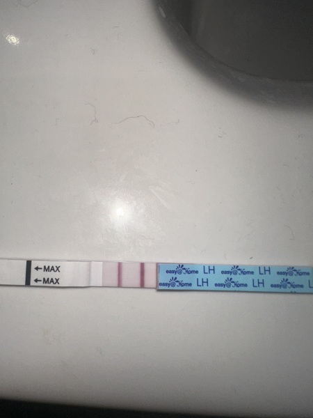 Positive ovulation test?