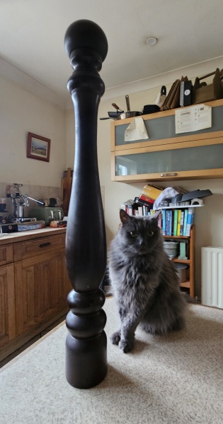 I need salt and pepper grinders which actually work