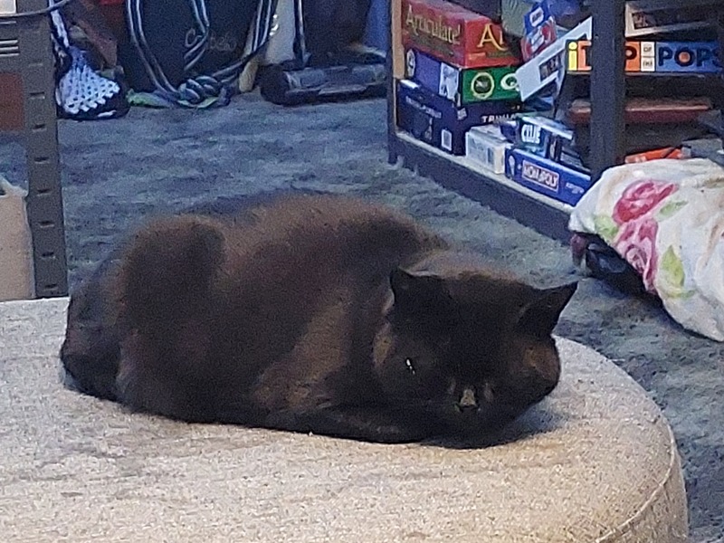 Thread 37 Starmer:  pinko commie slimeball