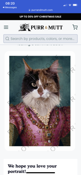 Pooch in the pearl earring - personalised pet portrait recommendations