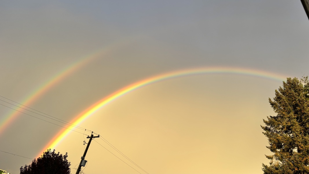 Daily Project round 8