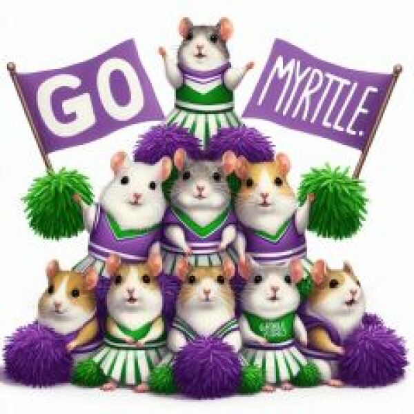 The Bluestocking: All You Need to Know About Risk Assessments, Jazz Hands, Battenberg and Sourdough (But Were Afraid to Ask) - and gerbils. Lots and lots of gerbils.