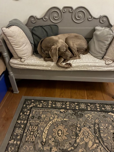 The Nigel Slater Christmas Chronicles Readalong 2025