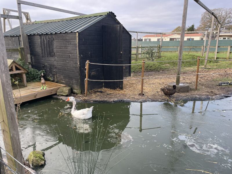 The Nigel Slater Christmas Chronicles readalong 2025 - Part 2