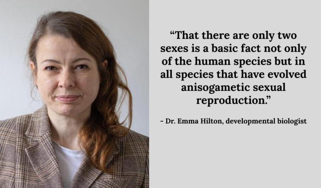 Have I completely misunderstood GCSE biology...