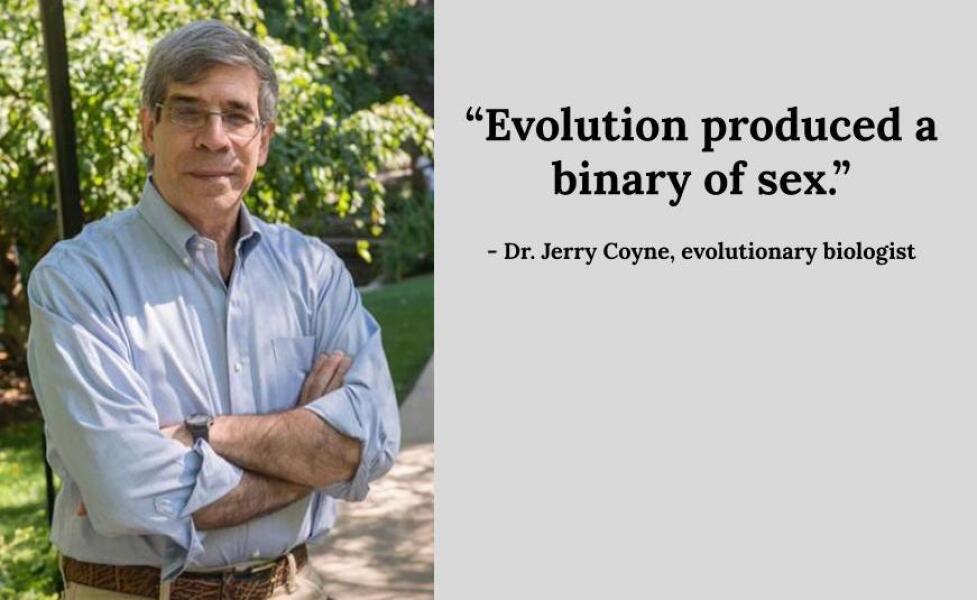 Have I completely misunderstood GCSE biology...