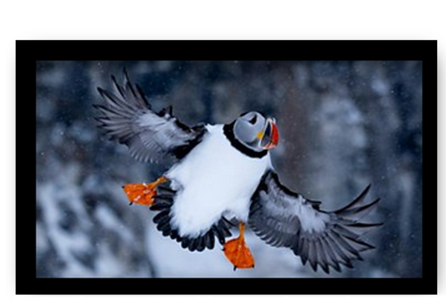 Year round Nigel Slater discussion thread - Part 3