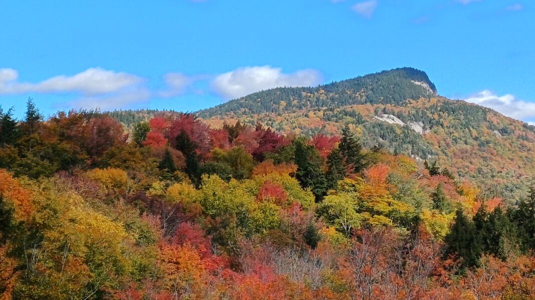 UK vs USA landscape 😆