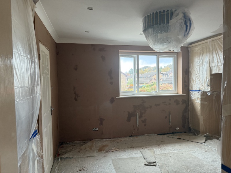 Plaster dried or not