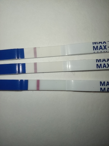 To stop taking the progesterone now. Chemical? Lines not getting darker