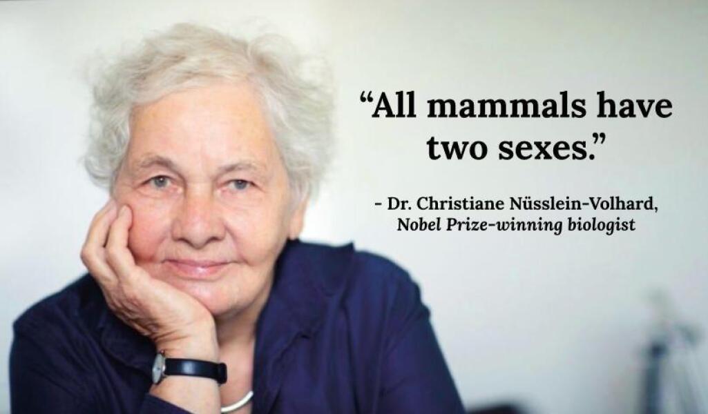 Have I completely misunderstood GCSE biology...