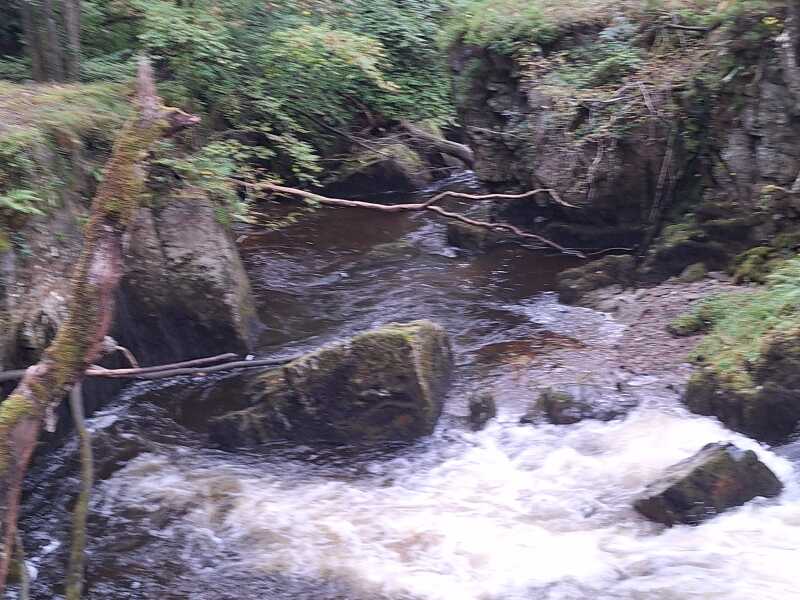 Thread 39 Starmer: chwech/saith - dechreuodd y plant ei