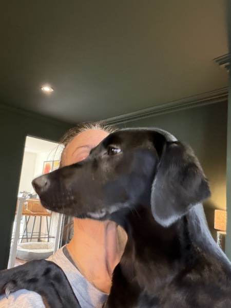 Puppy Survival Thread Autumn 2025 - all welcome!