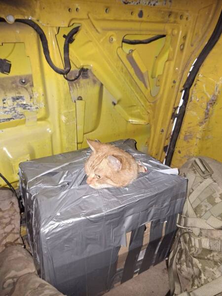 Ukraine Invasion: Part 59