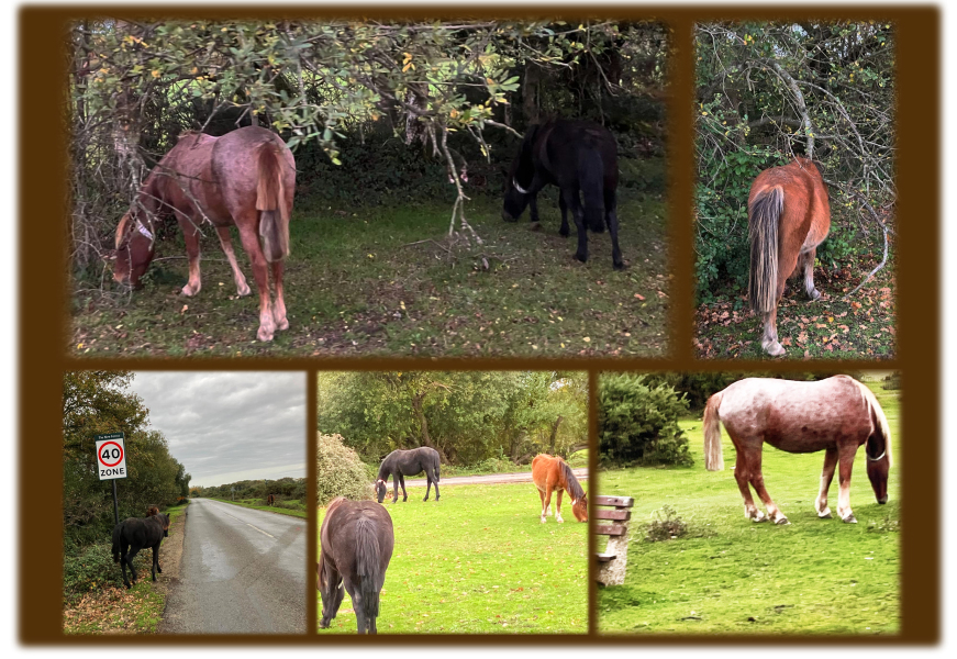 Year round Nigel Slater discussion thread Part 2