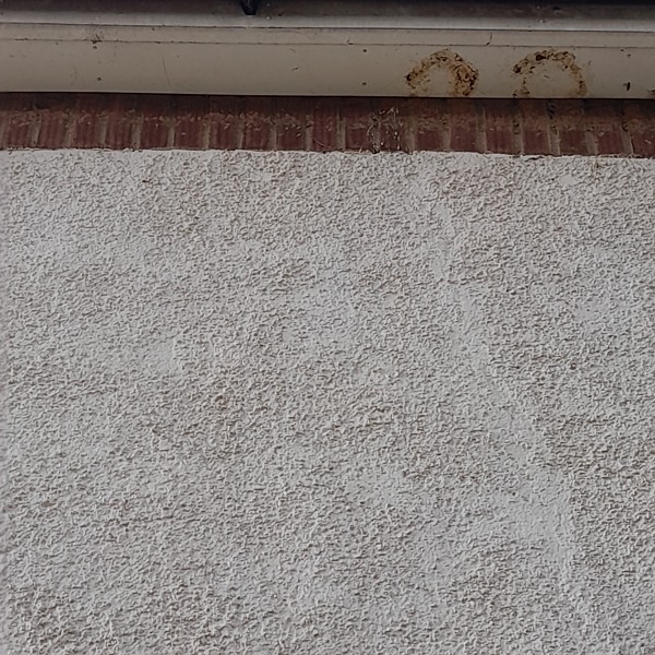 What could be cause of damp/moulds - how to get help