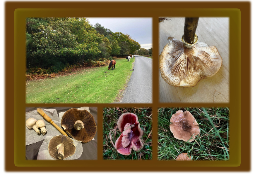 Year round Nigel Slater discussion thread Part 2