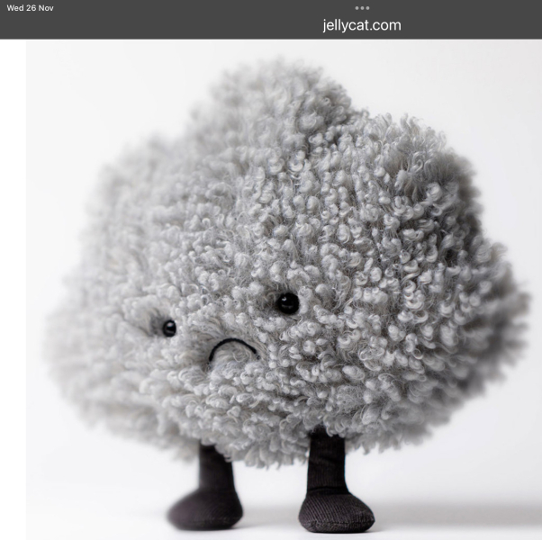 To buy myself a jellycat as an adult?