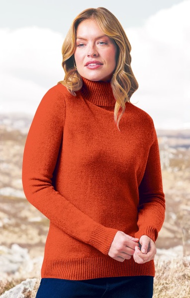 Can you help me find a replacement for favourite jumper?  Figure-hugging rust turtleneck that went with EVERYTHING!!!
