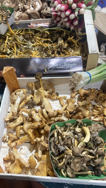 The Nigel Slater Christmas Chronicles Readalong 2025