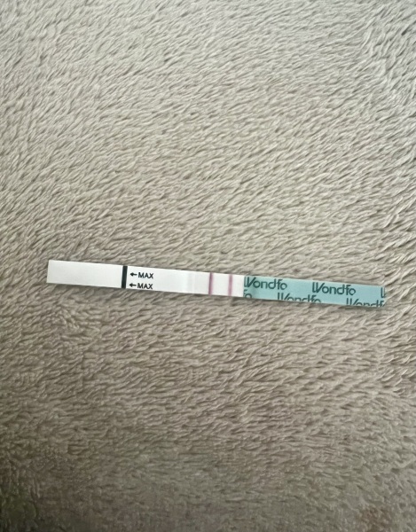 Wondfo ovulation tests