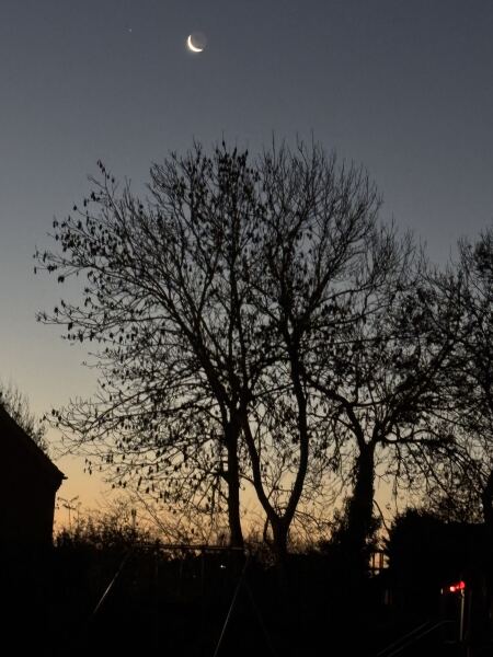 Thread 38 Starmer: Tax your Hamster