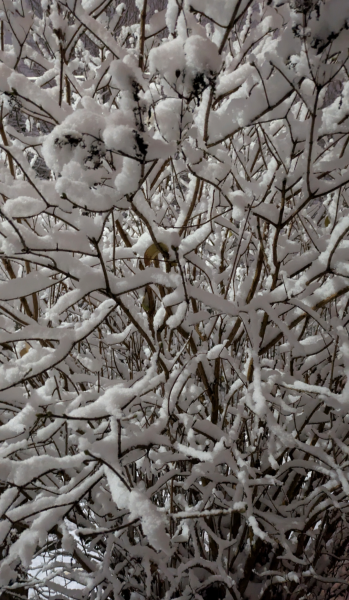 The Nigel Slater Christmas Chronicles readalong 2025 - Part 2