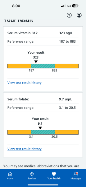 Anyone know about low iron/ferritin