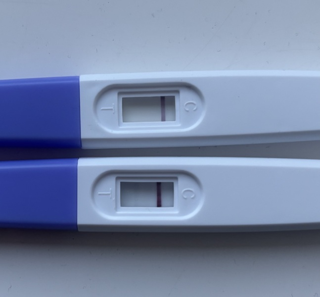 14dpo
