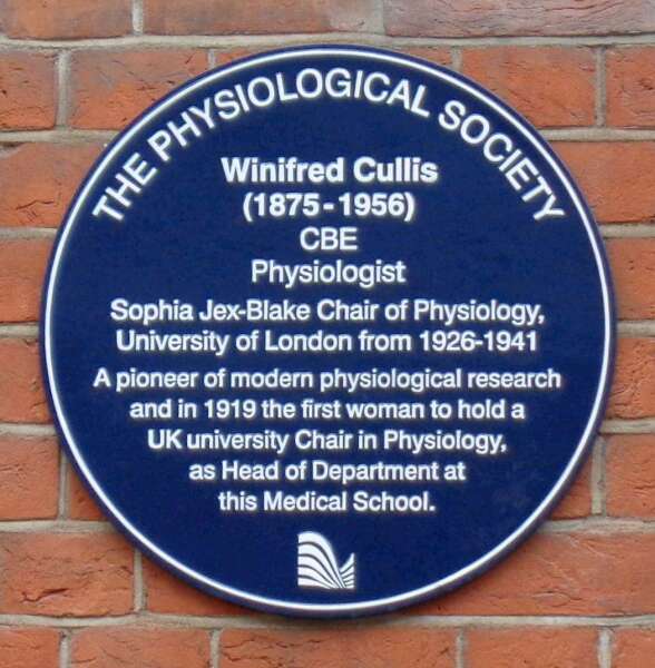 Anyone else with a completely mixed‑up family tree?